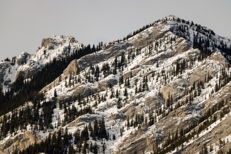 Snow-dusted mountain peaks with sparse evergreen trees spread across the rocky surface under an overcast sky.