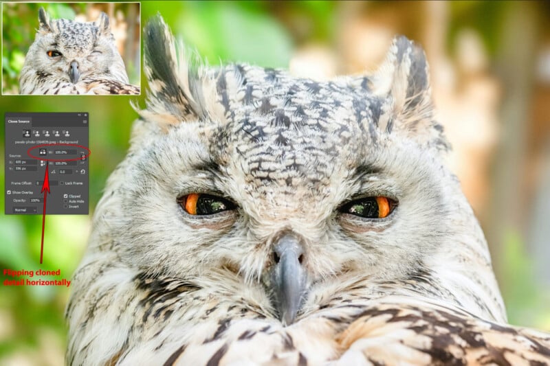 Close-up of an owl's face with striking orange eyes and detailed feathers. In the top left, a small image of the owl is shown alongside editing software, highlighting the horizontal flip feature with red text and arrows.