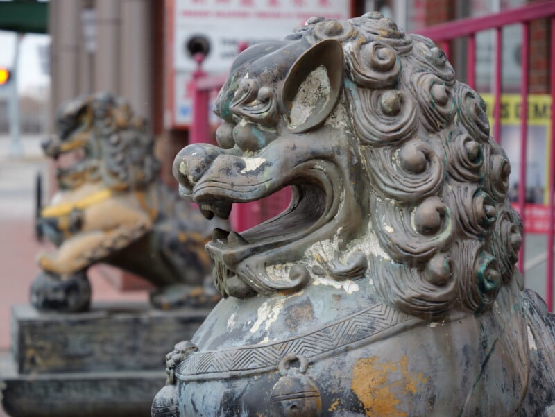 Two stone lion statues sit outside a building, with one in the foreground showing detailed curly manes and open mouths. The statues are weathered, with visible patches of worn paint, and a street is slightly visible in the background.