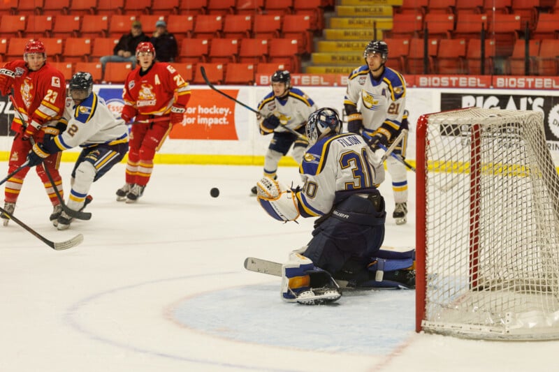 Hockey players in blue and white jerseys and opponents in red jerseys are in action on the ice. A goalie, wearing number 31, is positioned near the goal as the puck approaches. Red seats and advertisements are visible in the background.