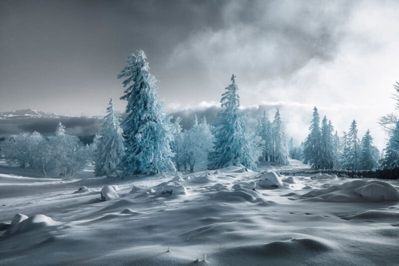 A serene winter landscape featuring snow-covered trees under a dramatic cloudy sky. The ground is blanketed with fresh snow, creating a peaceful and calm atmosphere. Dense fog partially obscures the horizon, adding a mystical touch to the scene.