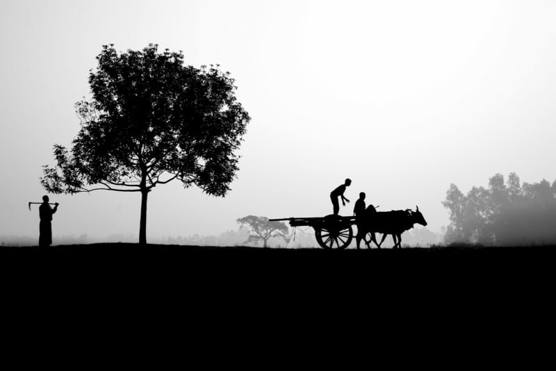 Silhouette of a tree and a person playing a flute on the left, with a bullock cart carrying two people on the right, set against a misty, light gray background. The scene captures a serene rural landscape.