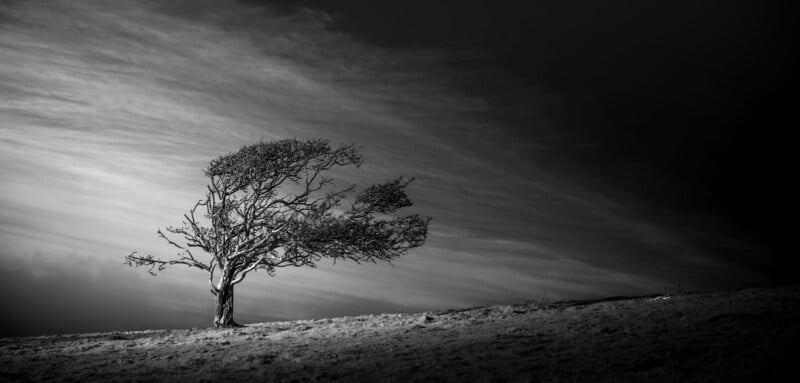 A solitary tree stands against a dramatic, cloudy sky on a windswept landscape. Its branches are bent in one direction, suggesting strong winds. The image is in black and white, emphasizing the stark beauty of the scene.