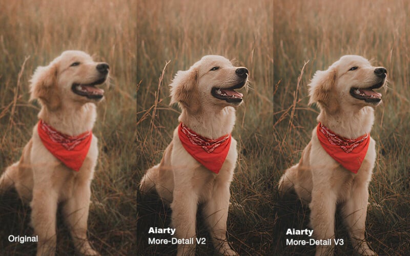 A golden retriever wearing a red bandana sits in a grassy field. The image is divided into three sections showing different levels of detail enhancement: Original, More-Detail V2, and More-Detail V3, progressively increasing in clarity.