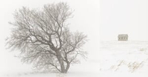 A lone, leafless tree stands on a snow-covered landscape with a small, weathered house in the distance. The scene is desolate and serene, with a soft, muted color palette accentuating the cold, wintry atmosphere.