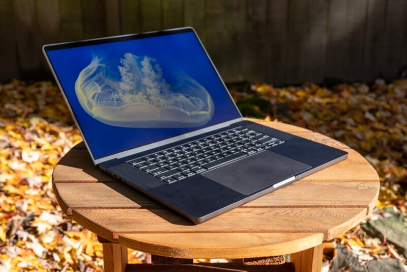 A laptop displaying a jellyfish image rests on a wooden table outdoors, surrounded by fallen autumn leaves.