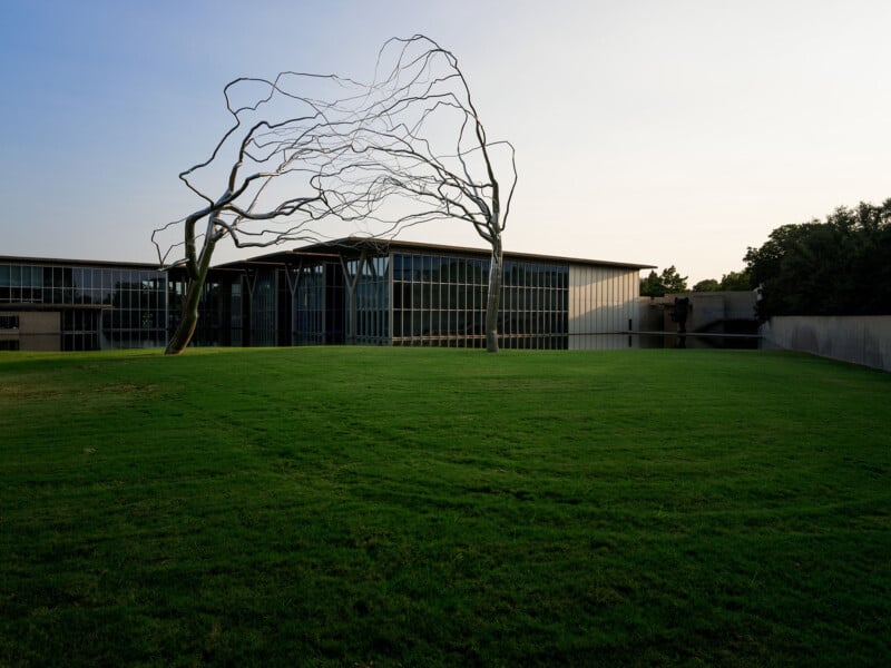 A modern building with large glass windows, surrounded by a lush green lawn. In front, there is an abstract metal tree sculpture with twisting branches against a clear sky background.