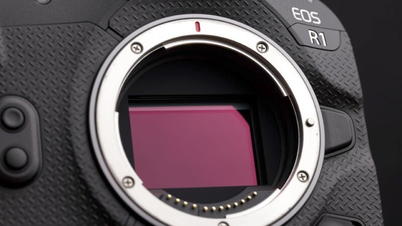 Close-up of a camera's open lens mount, showing the sensor inside. The camera body has textured black surface with an "EOS R1" label at the top. The sensor has a pinkish hue with a metallic ring surrounding it.