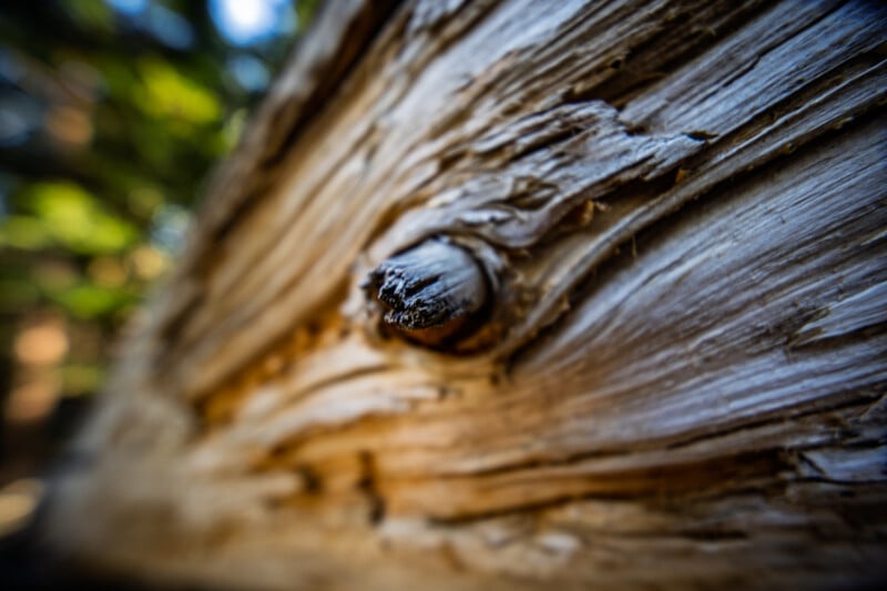 Close-up of a weathered log with distinct, textured grain and a protruding knot. The background is softly blurred with hints of greenery, creating a natural and organic atmosphere.