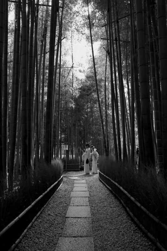 A black and white image of a narrow stone path leading through a serene bamboo forest. Three people in traditional attire walk along the path, with towering bamboo on either side. Light filters softly through the trees above.