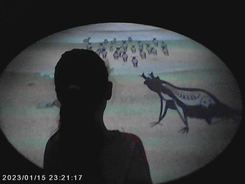 A silhouette of a person watching an animated scene projected on a screen, featuring a large animal and a group of smaller creatures in a natural landscape. Timestamp on the bottom left reads "2023/01/15 23:21:17.