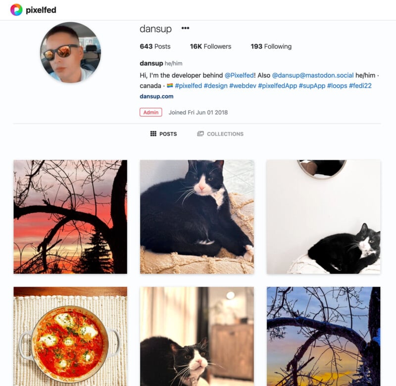 A social media profile named "pixelfed" with a total of 643 posts, 16k followers, and 193 following. The feed shows a mix of sunsets, a black and white cat, a soup dish, and tree branches against a colorful sky.