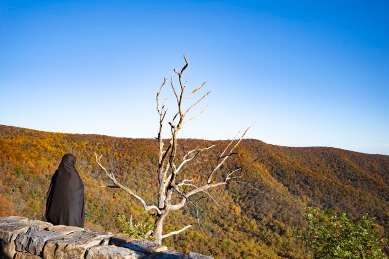 A person in a black cloak stands on a stone wall overlooking a vast, forested valley with a single bare tree in the foreground. The sky is clear and blue, and the trees exhibit autumn colors.