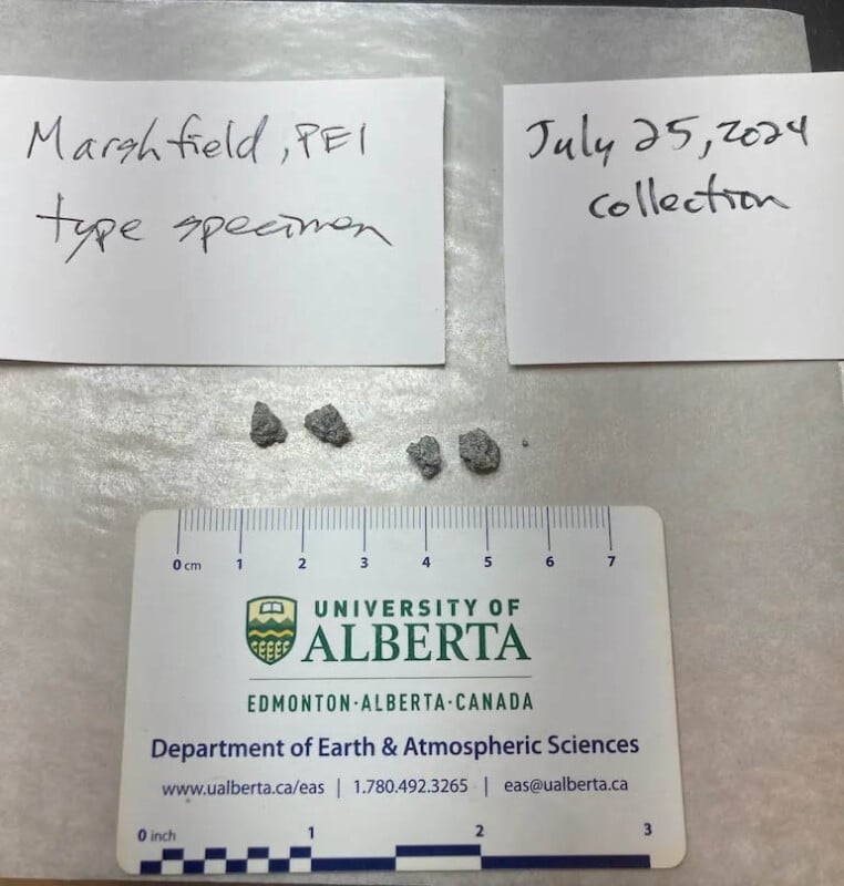 Image of four small rock specimens on a sheet, with handwritten labels reading "Marshfield, PEI, type specimen" and "July 25, 2024 collection." A University of Alberta ruler card is placed below the rocks for scale.